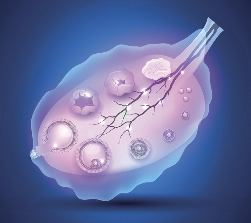 前沿观察-赣州试管助孕机构前十名优质选择,创新疗法实践